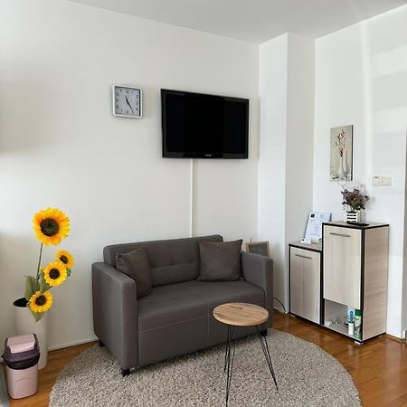 Angellina Apartmani สเรมสกา มิโตรวิตซา ภายนอก รูปภาพ