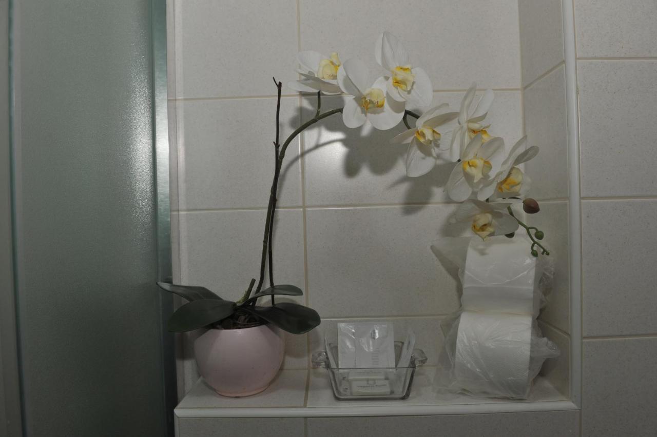 Angellina Apartmani สเรมสกา มิโตรวิตซา ภายนอก รูปภาพ